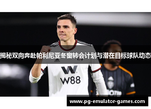 揭秘双向奔赴帕利尼亚冬窗转会计划与潜在目标球队动态