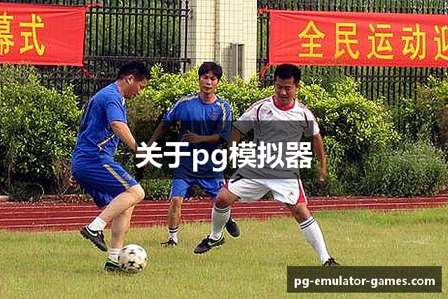 关于pg模拟器